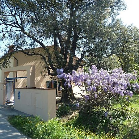 Al Vecchio Leccio Guest House Pistoia Exterior foto