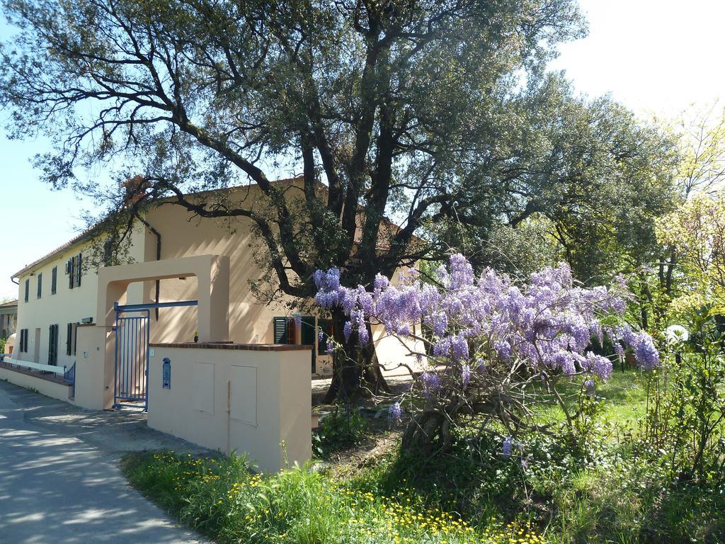 Al Vecchio Leccio Guest House Pistoia Exterior foto